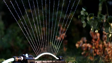 Automatic watering system sprays water in the garden . sprinkler Stock Footage 314998449