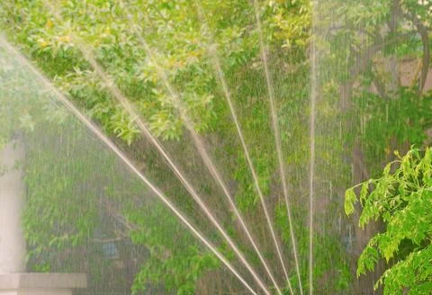 Automatic watering vegetation Stock Photos