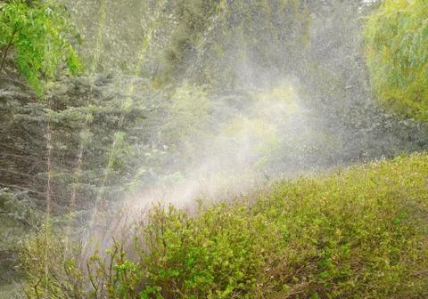 Automatic watering vegetation Stock Photos
