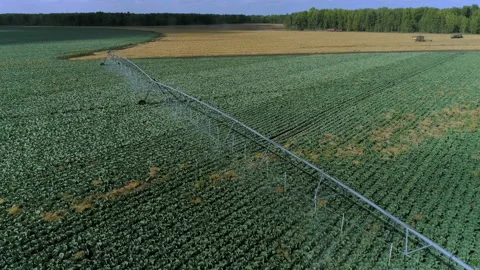 Automatical irrigation machine on the crop 库存影片 93144905