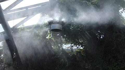 Automatically running mist making machine for the needs of tropical plants. Stock Footage 113764320