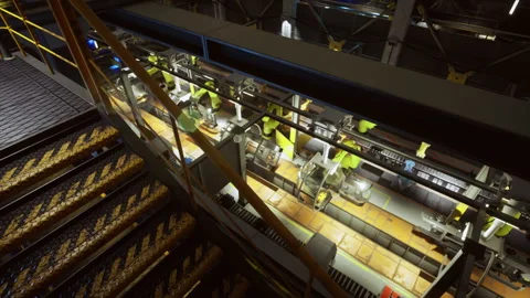 Automation in action at a state of the art manufacturing facility Stock Footage 330059580