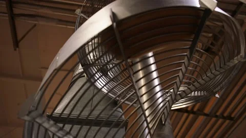 Automation of bread production. Descent of fresh loaves in a spiral. Video stock 200401584