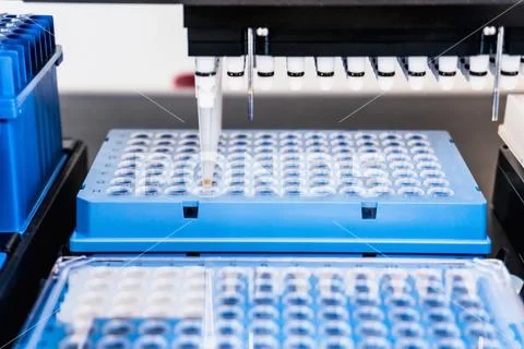 Automation in the clinical laboratory. Pipetting robot laboratory. Medicine Stock Photos