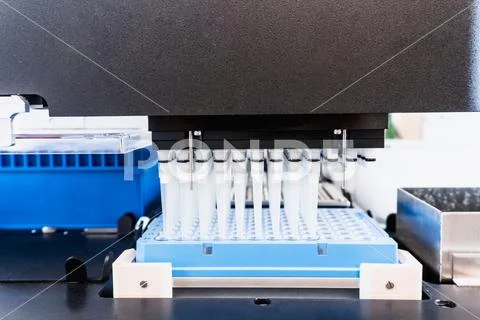 Automation in the clinical laboratory. Pipetting robot laboratory. Medicine Stock Photos
