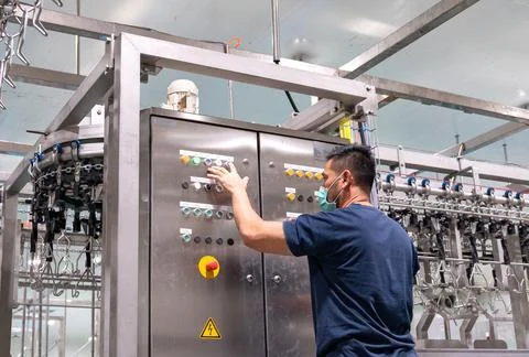 Automation Engineer Testing chain conveyor in chicken meat process line. Stock Photos
