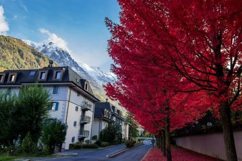 Automne à Chamonix Mont Blanc Stock Photos