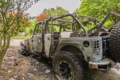 Automobile destroyed by fire Stock Photos