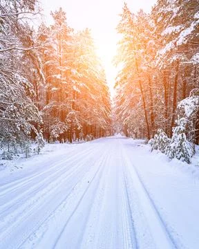 Automobile road through a pine winter forest covered with snow with the sun.. Stock Photos