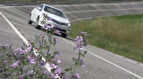 Automobile testing area - Slow motion Stock Footage 35162957