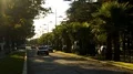 Automobiles driving down main cobble street with palms in Batumi resort city HD Footage
