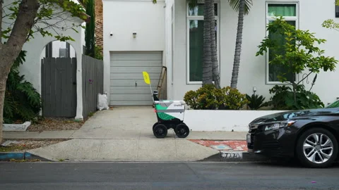Autonomous delivery bot transporting goods for a customer in residential area Stock Footage 243639670