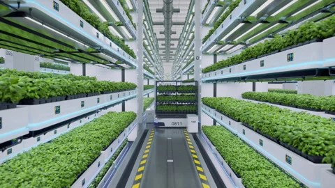 Autonomous farm robots transporting organic grown herbs in automated vertical Stock Footage 279976279