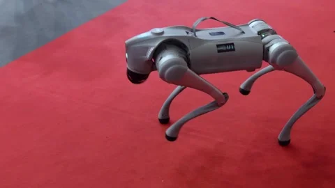 Autonomous Robot Dog 스톡 동영상 311887703