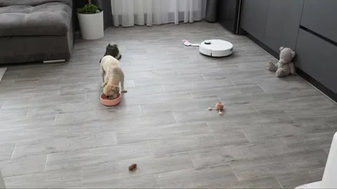 Autonomous robotic vacuum cleaner navigating around scattered household objects Stock Footage 345023934