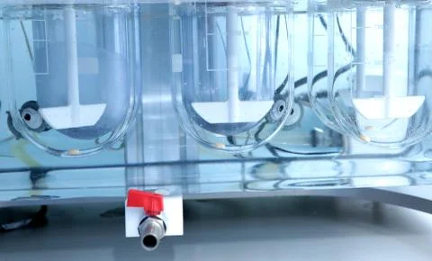 Autonomous solubility tester. Imitation dissolution of the table Stock Photos