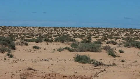 Autonomous tactical vehicle fires a missile in the desert Stock Footage 334376752