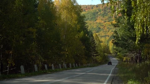 Autotrip for a weekend in the mountains in the fall Stock Footage 242335382