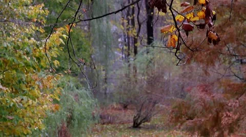 Autum / Fall in New England Stock Footage 19363014