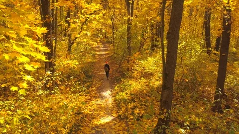 In the autum Stock Footage 96410731