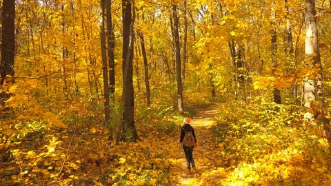 In the autum Stock Footage 96411109