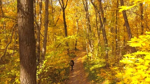 In the autum Stock Footage 96411764