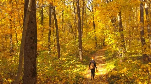 In the autum Stock Footage 96411909