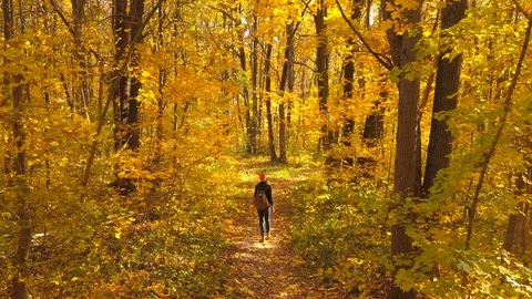 In the autum Stock Footage 96412002