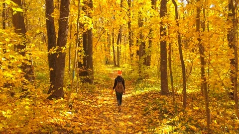 In the autum Stock Footage 96413381