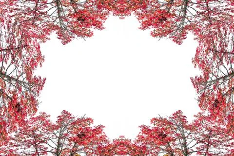 Autum frame Stock Photos