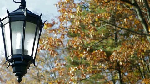 Autum leaves - Rack Focus Stock Footage 19262866