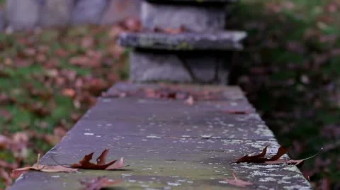 Autum Leaves on Steps Video stock 19600993