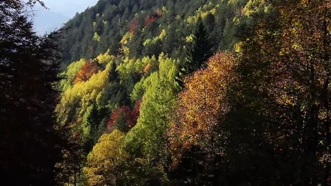 Autum on the mountain slope Stock Footage 69166515