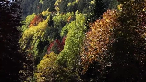 Autum in the mountains Stock Footage 69166292