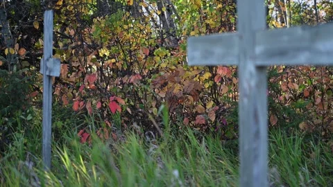 Autum multi-colored leaves move in the wind behind two wooden grave markers Stock Footage 251485364