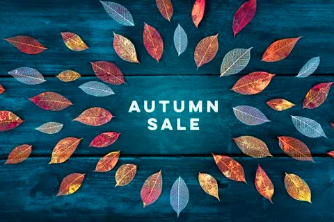 Autum Sale. Discount banner or flyer design template with vibrant autumn leaves Stock Photos