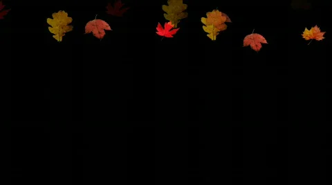 Autumleaves Stock-Footage 727512