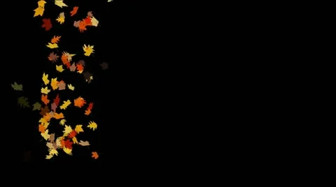 Autumleaves3 Stock-Footage 10834674