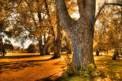 Autumn 1 Stock Photos