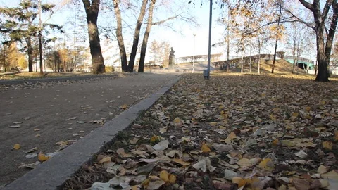 Autumn 12 Stock Footage 89686886