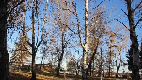 Autumn 14 Stock Footage 89686881