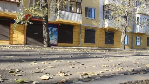 Autumn 16 Stock Footage 89686910