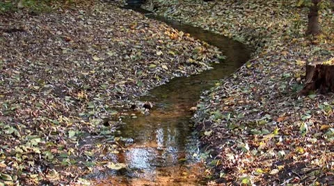 Autumn 17 Stock Footage 8920358