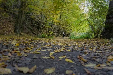 Autumn-191-5 Stock Photos