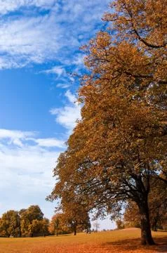Autumn 2 Stock Photos