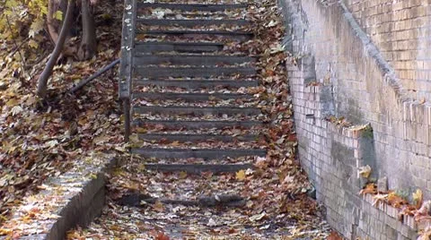 Autumn 25 Stock Footage 8954422