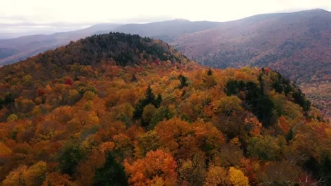 Autumn 4K Fall Stock Footage 247577409