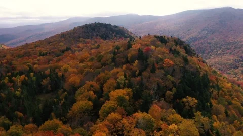 Autumn 4K Fall Stock Footage 247577411