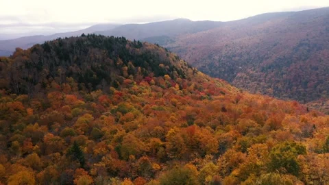 Autumn 4K Fall Stock Footage 247577412