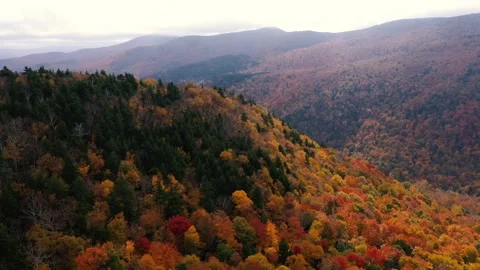 Autumn 4K Fall Stock Footage 247577415